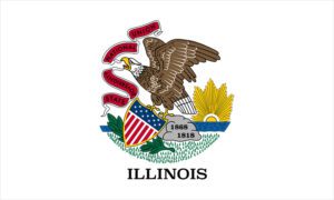 Daaxit fractional CFO services - Illinois state flag