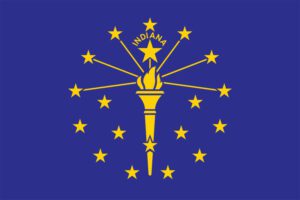 Daaxit fractional CFO services - Indiana state flag