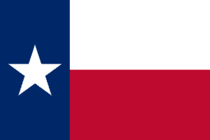 Daaxit fractional CFO services - Texas state flag